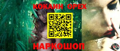 apvp Кингисепп