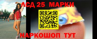 apvp Кингисепп
