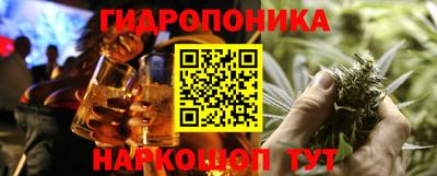 apvp Кингисепп