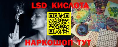 apvp Кингисепп
