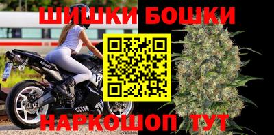 apvp Кингисепп