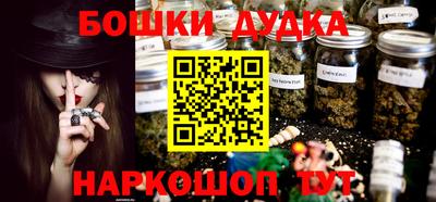 apvp Кингисепп