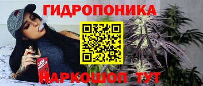 кокс Кинель